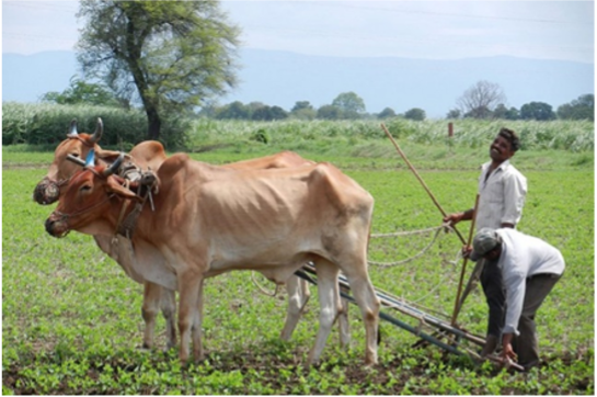Student Excursion to INDIA